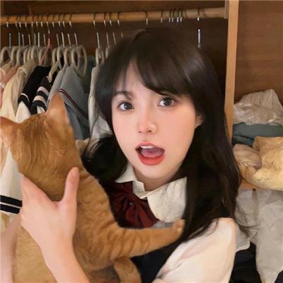 猫和粉茎